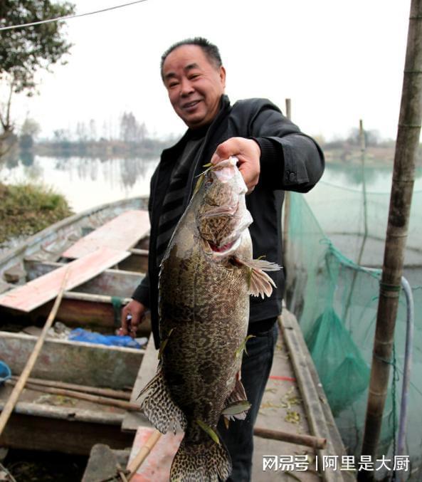 我国哪里的鳜鱼最好吃？中国十大有名鳜鱼产地你的家乡上榜了吗(图12)